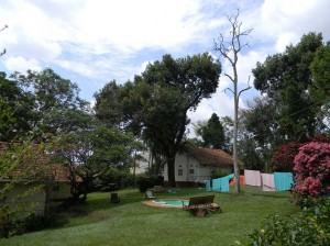 Afrika_12 (623) (Copy)