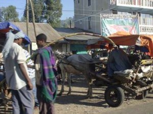 Afrika_12 (647) (Copy)