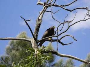 Afrika_12 (653) (Copy)