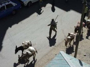 Afrika_12 (656) (Copy)