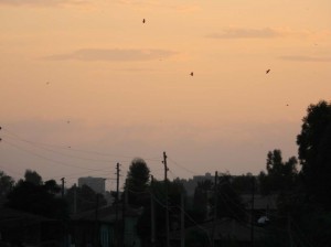 Afrika_12 (663) (Copy)