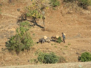 Afrika_12 (682) (Copy)