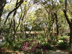 Afrika_12 (687) (Copy)