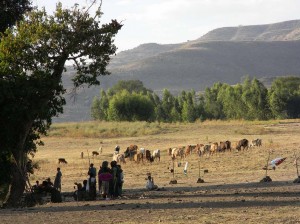 Afrika_12 (691) (Copy)