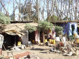 Afrika_12 (694) (Copy)