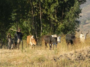 Afrika_12 (698) (Copy)