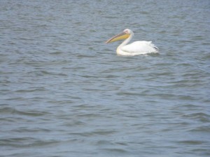 Afrika_12 (710) (Copy)