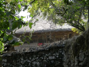 Afrika_12 (728) (Copy)