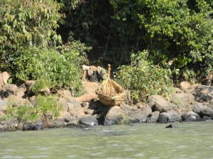 Afrika_12 (732) (Copy)