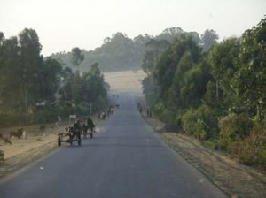 Afrika_12 (743) (Copy)