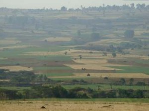 Afrika_12 (744) (Copy)