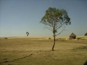 Afrika_12 (749) (Copy)