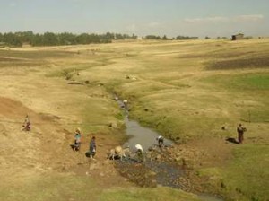 Afrika_12 (755) (Copy)