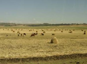 Afrika_12 (758) (Copy)