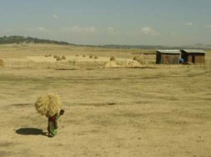 Afrika_12 (760) (Copy)