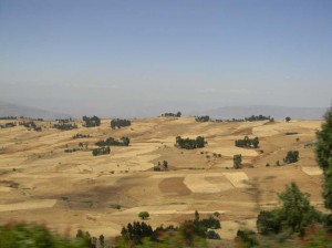 Afrika_12 (768) (Copy)