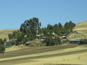 Afrika_12 (772) (Copy)