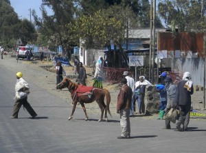 Afrika_12 (780) (Copy)