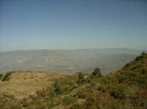 Afrika_12 (785) (Copy)