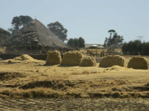 Afrika_12 (787) (Copy)