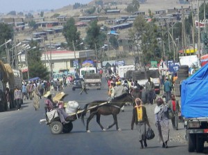 Afrika_12 (792) (Copy)