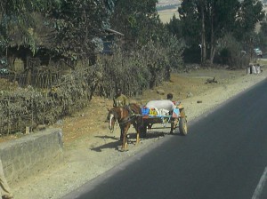 Afrika_12 (796) (Copy)