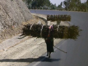 Afrika_12 (799) (Copy)