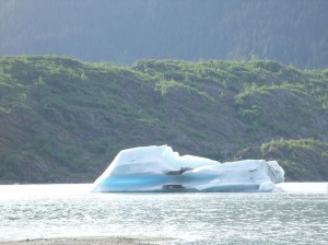 Alaska_11  (246) (Copy)