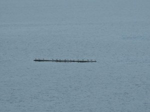 Alaska_11  (287) (Copy)