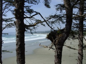 Alaska_11  (317) (Copy)