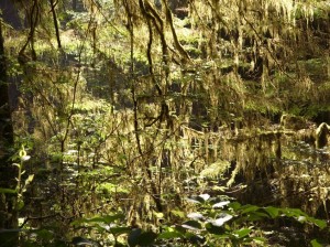 Alaska_11  (323) (Copy)