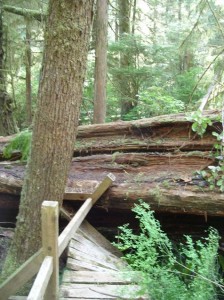 Alaska_11  (326) (Copy)