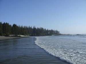 Alaska_11  (328) (Copy)