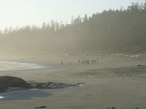 Alaska_11  (332) (Copy)