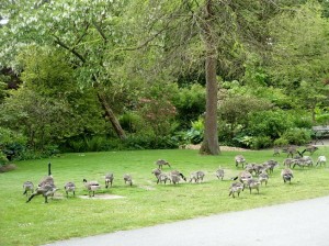 Alaska_11  (366) (Copy)