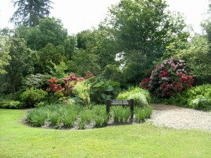 Alaska_11  (367) (Copy)