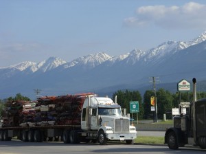 Alaska_11  (390) (Copy)