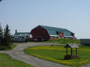 Alaska_11  (401) (Copy)