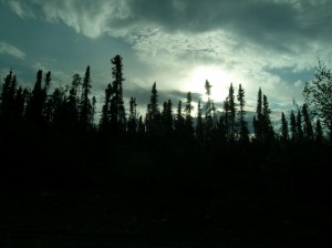 Alaska_11  (90) (Copy)