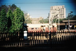 043 Bombay (Copy)