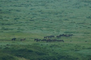 Nordost_Asien_12 (312) (Copy)