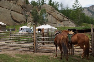 Nordost_Asien_12 (347) (Copy)