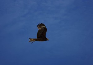 Nordost_Asien_12 (396) (Copy)