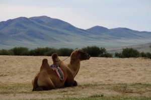 Nordost_Asien_12 (408) (Copy)