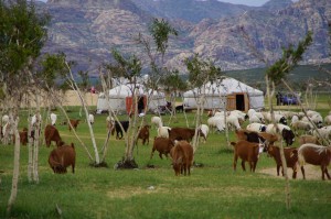 Nordost_Asien_12 (411) (Copy)