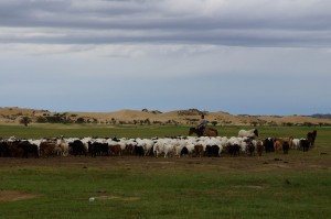 Nordost_Asien_12 (414) (Copy)