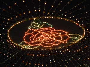 Nordost_Asien_12 (529) (Copy)