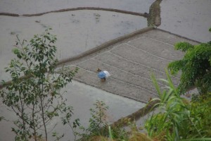 Suedost_Asien_13 (490) (Copy)