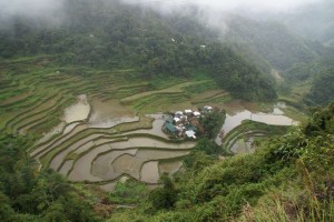 Suedost_Asien_13 (493) (Copy)