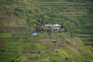 Suedost_Asien_13 (508) (Copy)